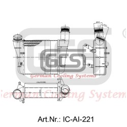 IC-AI-221